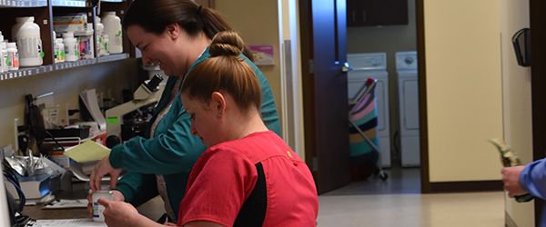 Veterinarians working on pet diagnostics in the in house lab